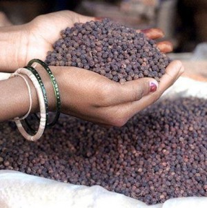 Thị trường tiêu Ấn Độ: Nông dân không muốn bán hạt tiêu