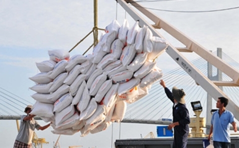 Xuất khẩu gạo mới chỉ đạt 4,2 triệu tấn sau 10 tháng
